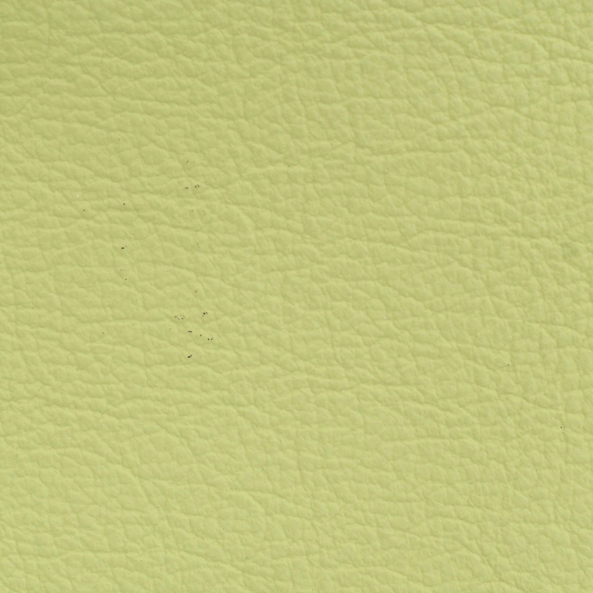 Pistachio