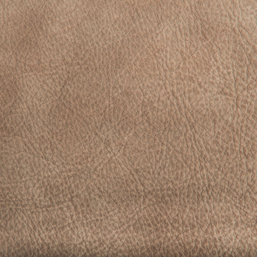 Dune Sierra